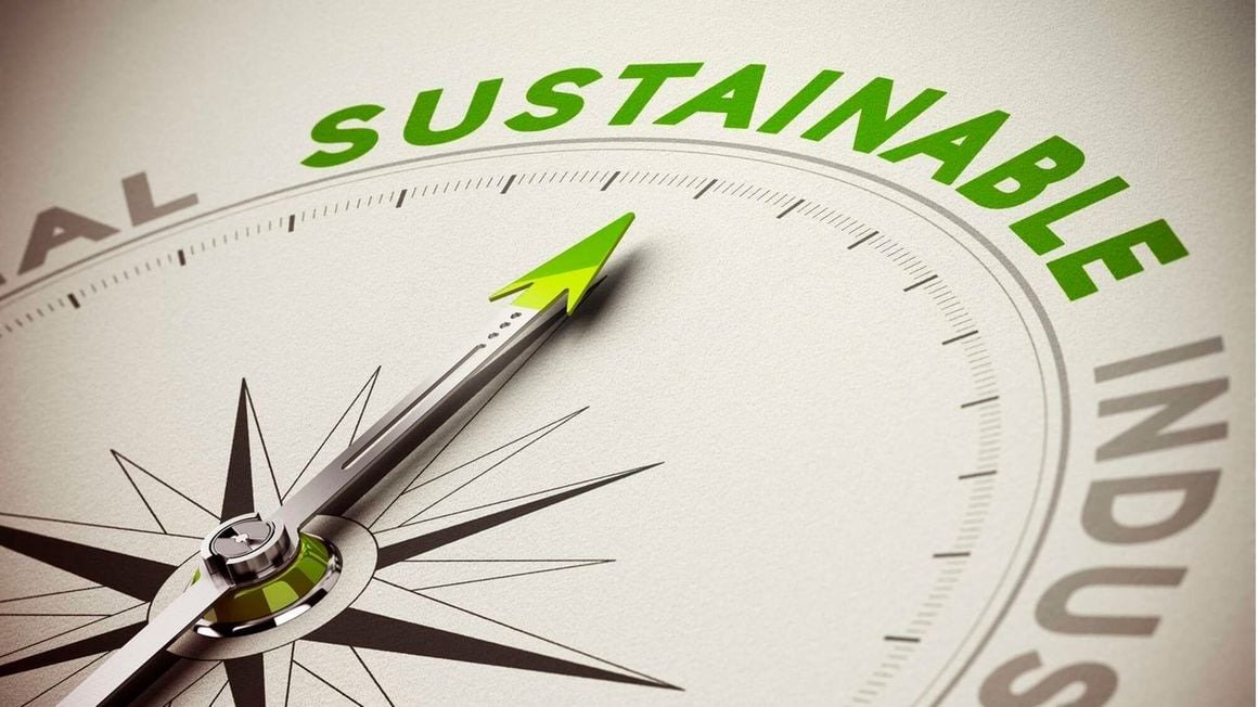Our Sustainability Reporting Services