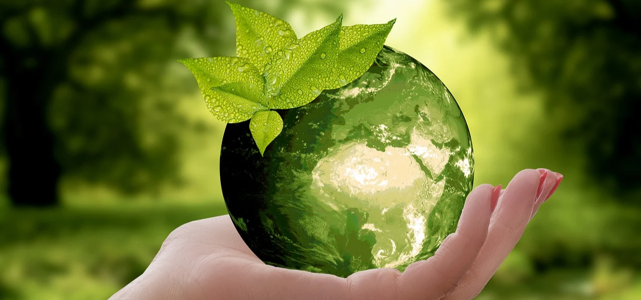 ISO 14001 : Environmental Management System