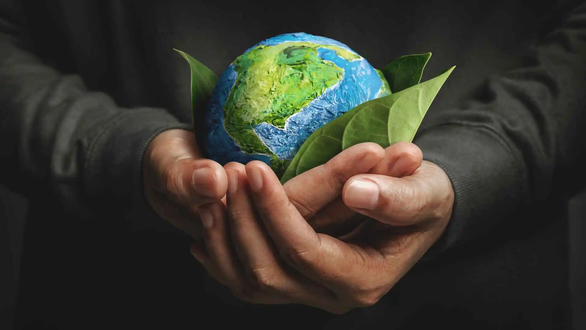 Preliminary Environmental Review
