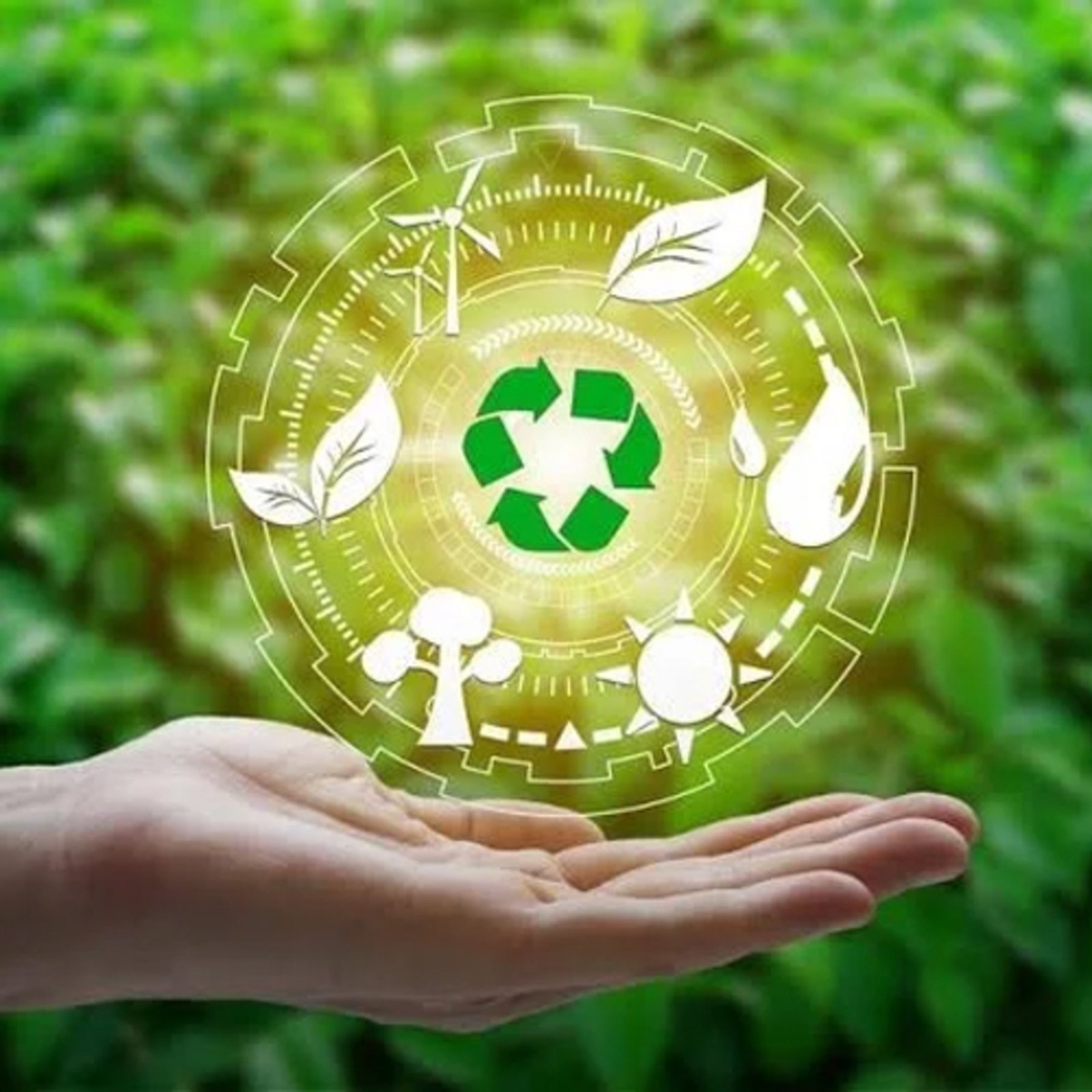 Get in touch with us for expert advice on identifying and managing your environmental impacts.